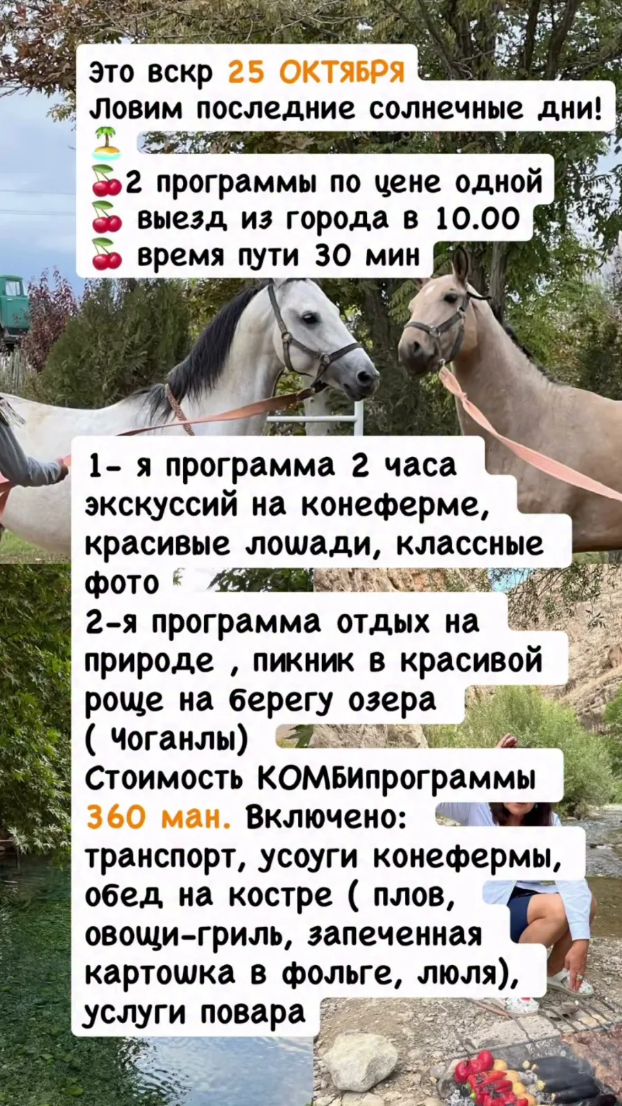 🐎 Конеферма и пикник у озера в Чоганлы